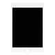 Apple iPad Mini 5 - LCD Display + Touchscreen Front Glas (White) Refurbished