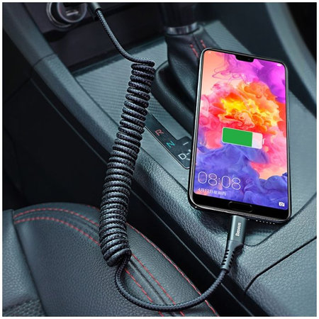 Baseus - USB-C / USB Kabel (1m), Frühling, schwarz