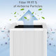 Blueair Blue Pure 211+ - HEPA-Filter (Aktivkohle)