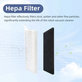 HEPA-Filter, 2 Stk. für Rowenta X-plorer S65, S65+, S70, S70+, S75s, S75s+
