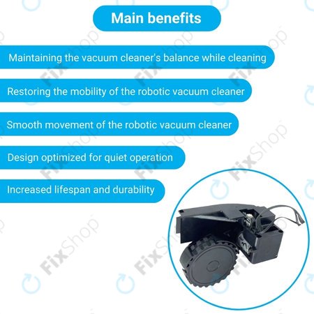 Roidmi EVE Plus - Rad mit Motor (Rechts) (Schwarz)