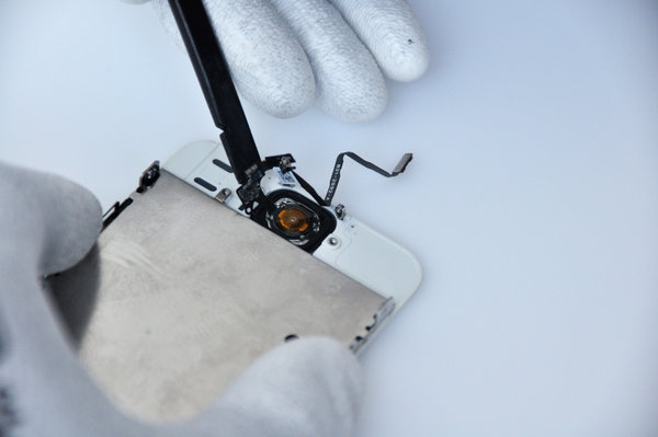 Entfernen des Home-Button-Kabels