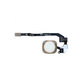 Apple iPhone 5S, SE - Home Taste + Flex Kabel (Gold)