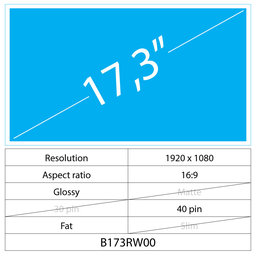 17.3 LCD Fat Glossy-40 pin-Full HD