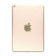 Apple iPad Mini 5 - Zadný Housing 4G Version (Gold)