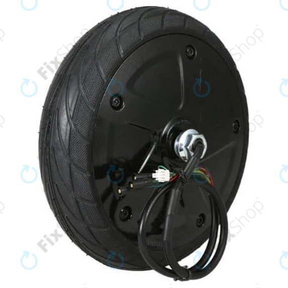 Ninebot Segway ES1, ES2 - Motorensatz mit Reifen 36V 350W