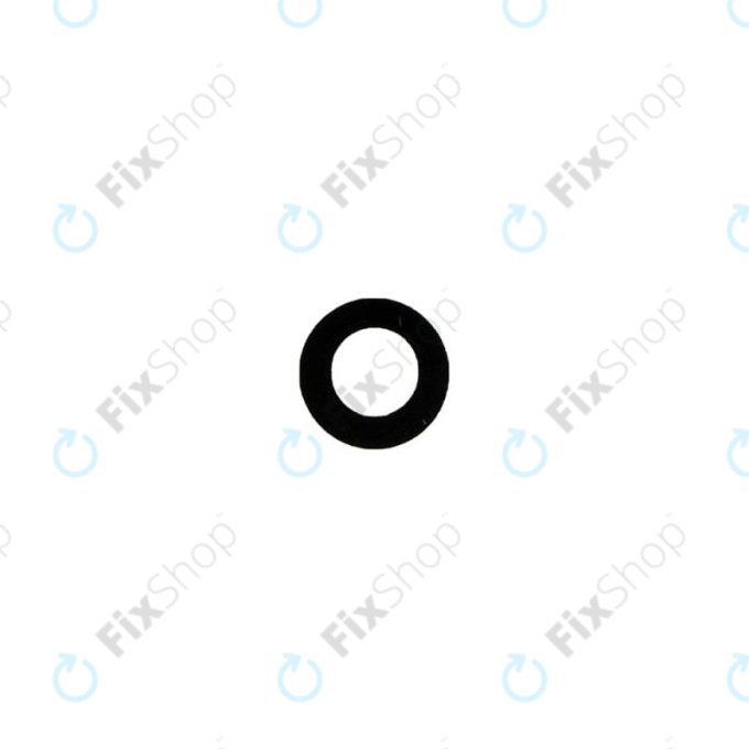 Apple iPad Air 2 - Rückfahrkameraglas